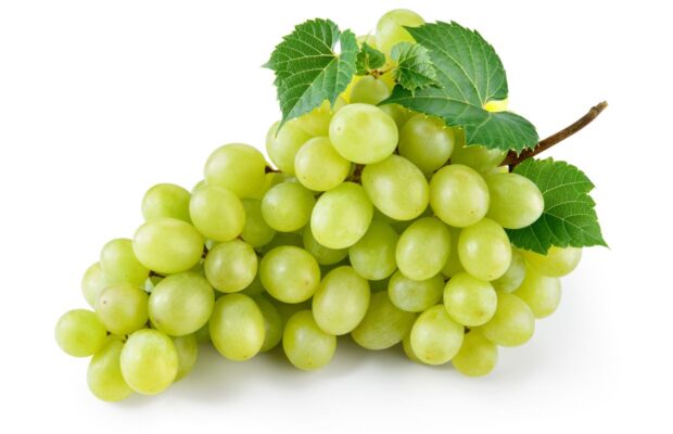 National Wine Day