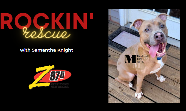 Rockin’ Rescue – Hank Williams Jr