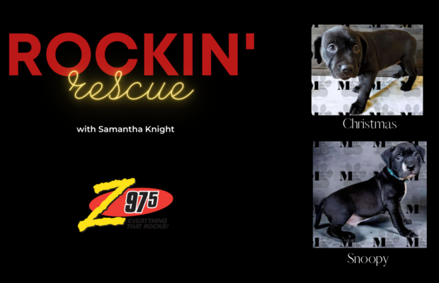 Rockin Rescue – Christmas and Snoopy