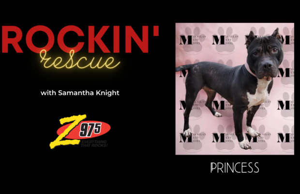 Rockin’ Rescue – Princess