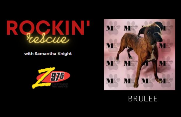 Rockin’ Rescue – Brulee