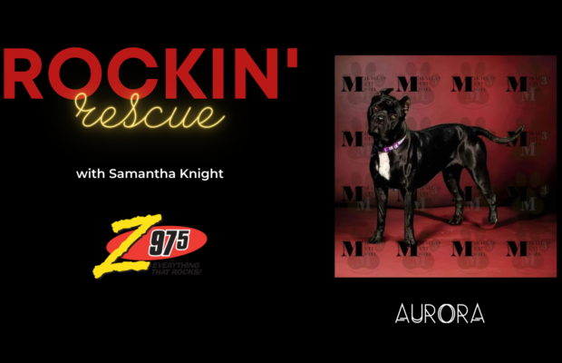 Rockin’ Resuce – Aurora