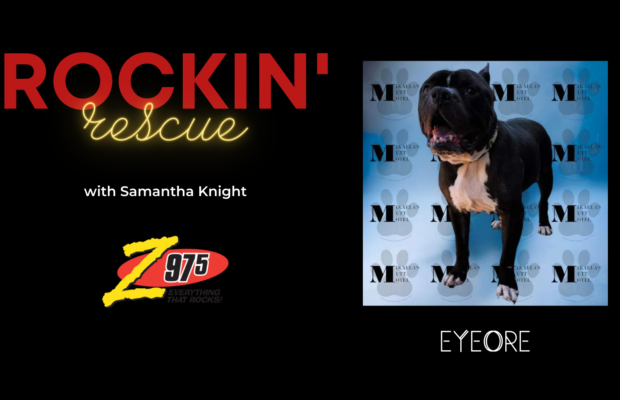 Rockin’ Rescue – Eyeore
