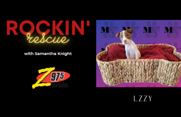 Rockin’ Rescue – Lzzy