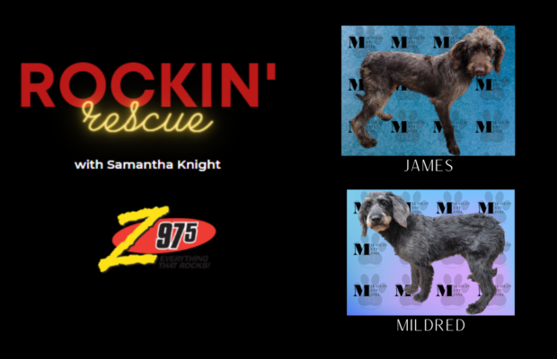 Rockin’ Rescue – James and Mildred