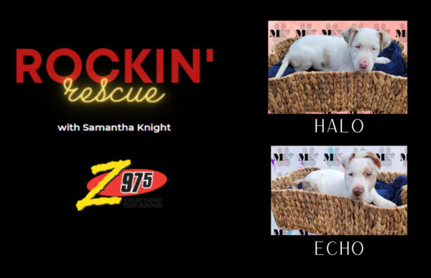 Rockin’ Rescue – HALO & ECHO