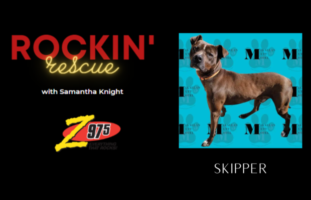 Rockin’ Rescue – Skipper