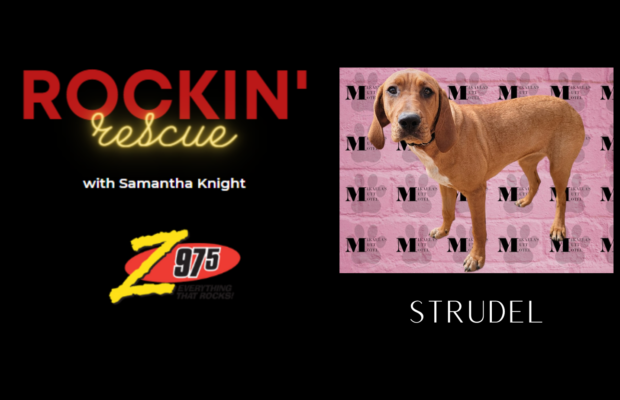 Rockin’ Rescue – Strudel