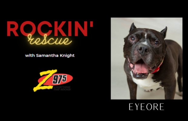 Rockin’ Rescue – Goodbye to Eyeore Rockin’ Rescue – Goodbye to Eyeore