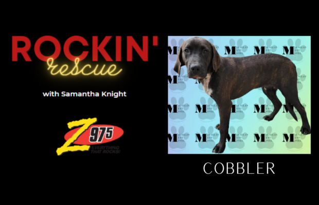 Rockin’ Rescue – Cobbler