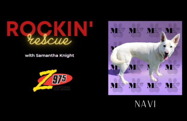 Rockin’ Rescue – NAVI