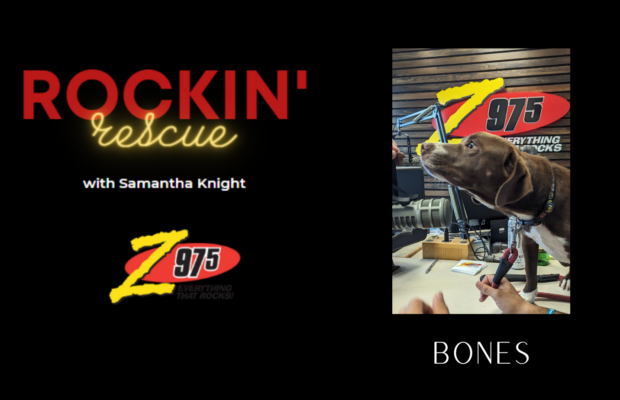 Rockin’ Rescue – Bones