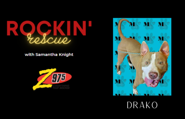Rockin’ Rescue – Drako