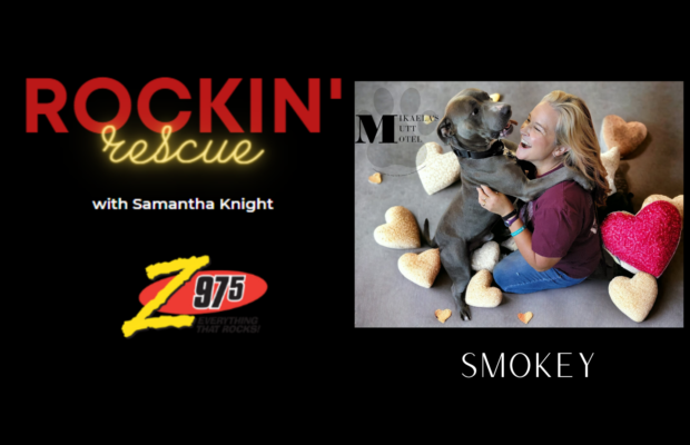 Rockin’ Rescue – Smokey