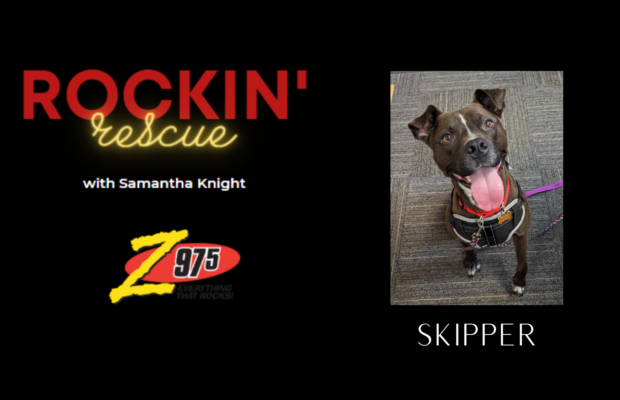 Rockin’ Rescue – Skipper