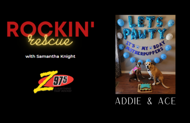Rockin’ Rescue – Ace & Addie