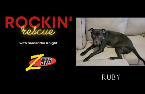 Rockin’ Rescue – Ruby