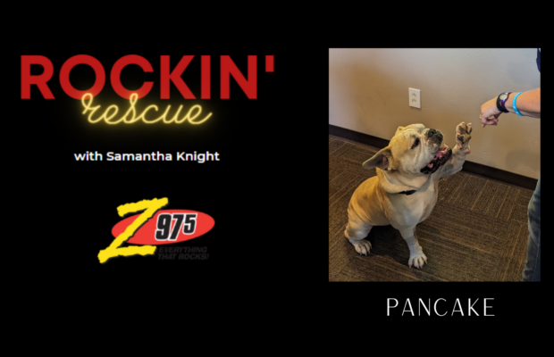 Rockin’ Rescue – Pancake