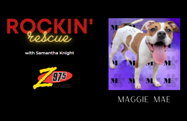 Rockin’ Rescue – Maggie Mae