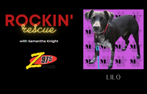 Rockin Rescue – Lilo