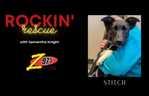 Rockin’ Rescue – Stitch