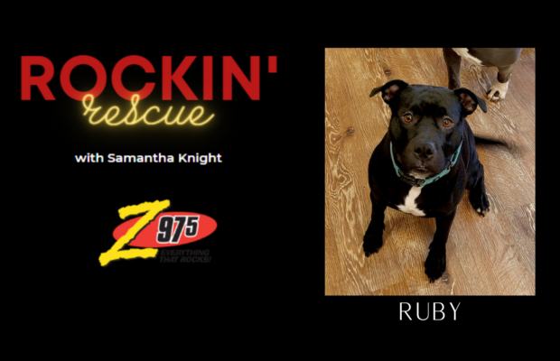 Rockin’ Rescue – Ruby PUPdate