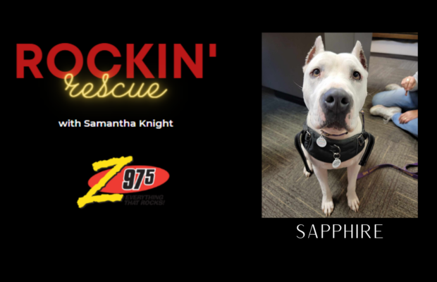 Rockin’ Rescue – Sapphire