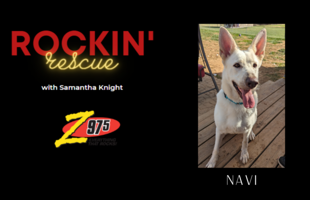 Rockin’ Rescue – Navi PUPdate