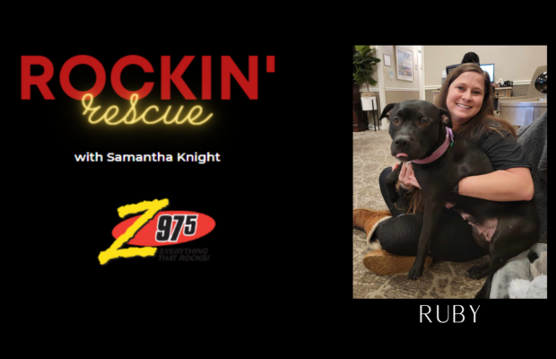 Rockin’ Rescue – Ruby PUPdate
