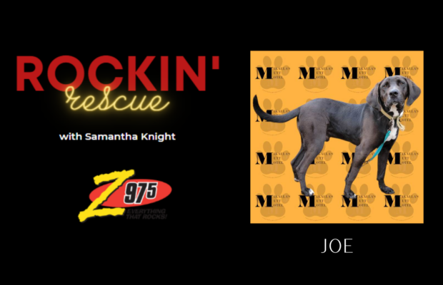 Rockin’ Rescue – Joe