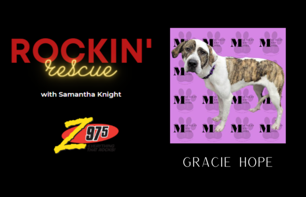Rockin’ Rescue – Gracey Hope