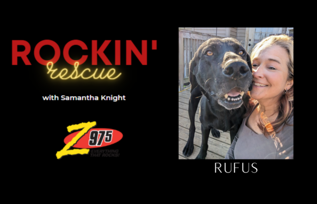 Rockin’ Rescue – Rufus