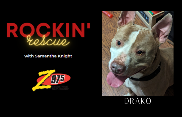 Rockin’ Rescue – Drako PUPdate