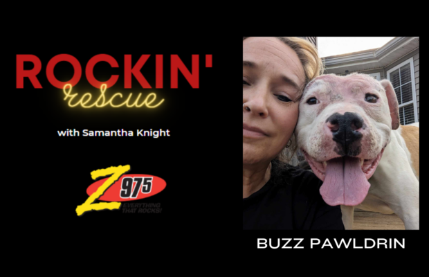 Rockin’ Rescue – Buzz Pawldrin