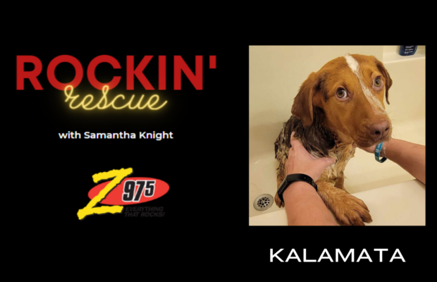 Rockin’ Rescue – Kalamata