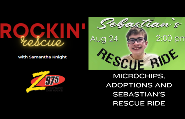 Rockin’ Rescue – Triple Event Weekend Includes Missing Autistic Boy