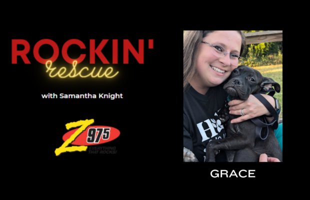 Rockin’ Rescue – Grace