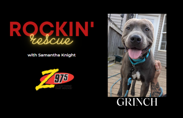 Rockin’ Rescue – Grinch