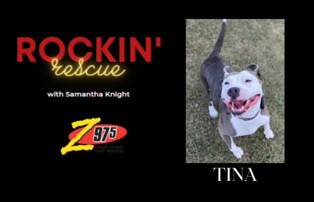 Rockin’ Rescue – Tina & Foster Mom Jobie