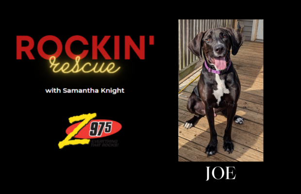 Rockin’ Rescue – PUPdate on Joe